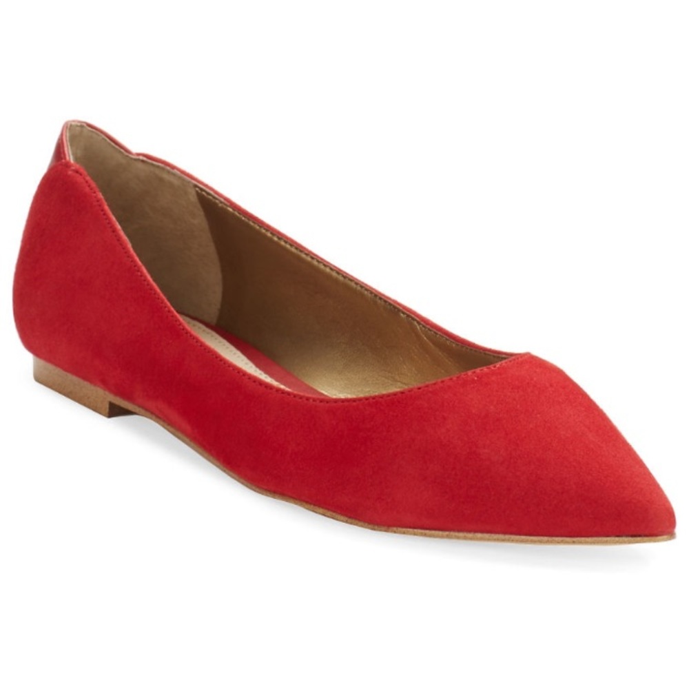 Sam Edelman Suede Rae Pointy Toe Flat